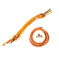 Economy Torch Kit C/W Hose & Reg