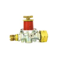 Propane Gas Regulator 0 - 4 Bar